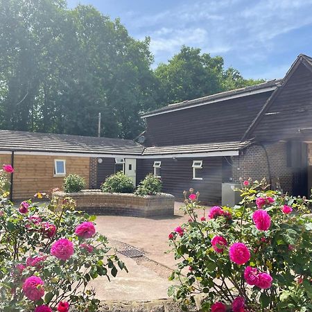 The Rose Cottage Wisborough Green Exteriör bild