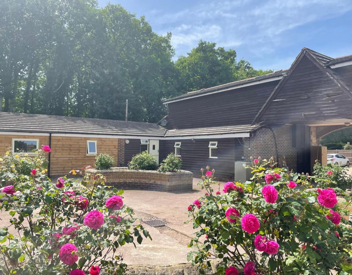 The Rose Cottage Wisborough Green Exteriör bild